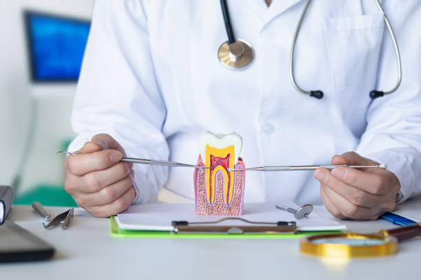 Best Walk-In Emergency Dentist in Oak Ridge, NJ